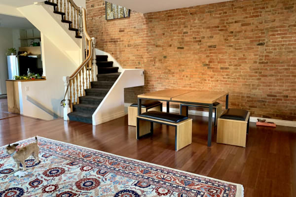 House sit in Montréal, QC, Canada