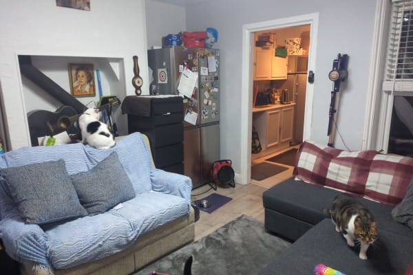 House sit in Andover, United Kingdom