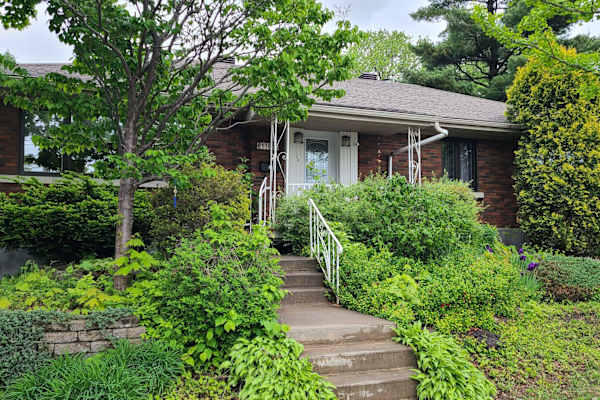 House sit in Montréal, QC, Canada