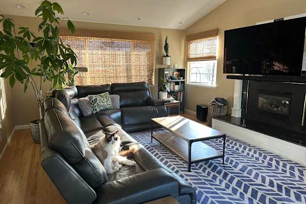 House sit in Santa Cruz, CA, US