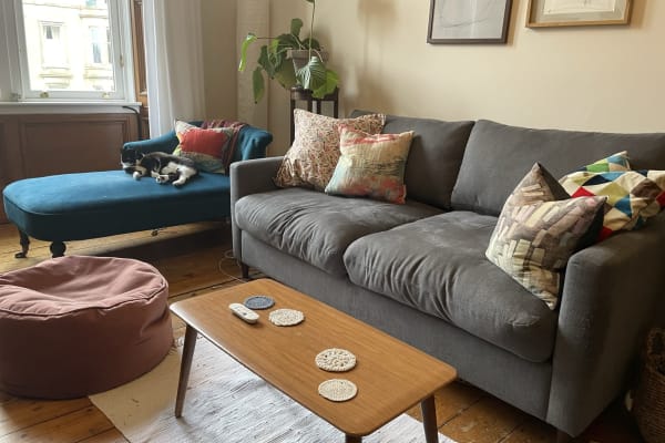 House sit in Edinburgh, United Kingdom