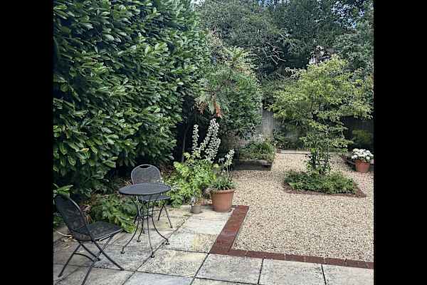 House sit in London, United Kingdom