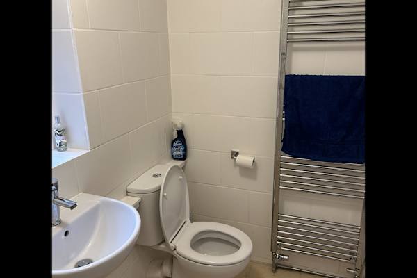 House sit in Taunton, United Kingdom