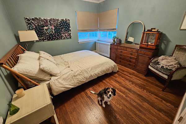 House sit in Silver Spring, MD, US