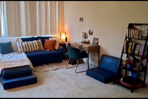 House sit in Arlington, VA, US