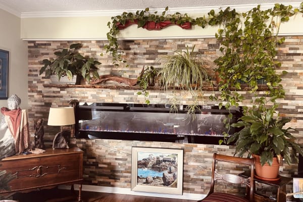 House sit in Ossining, NY, US