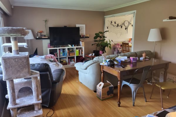 House sit in Coquitlam, BC, Canada
