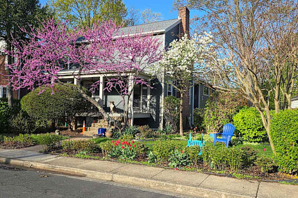 House sit in Arlington, VA, US