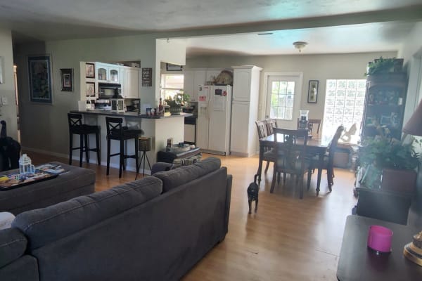 house sitting jobs miami House sit in Fort Lauderdale, FL, US