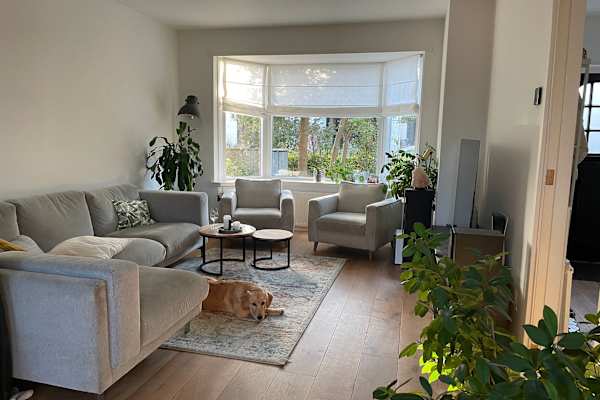 House sit in Castricum, Netherlands