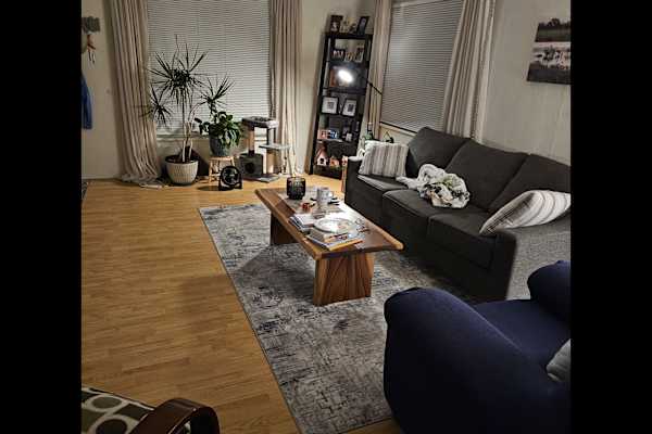 House sit in Albuquerque, NM, US