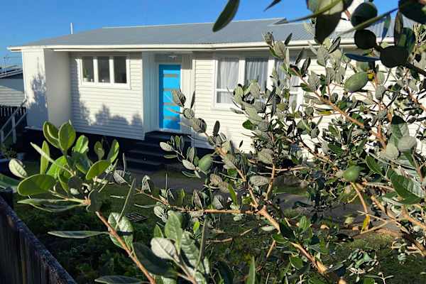 House sit in Auckland, New Zealand