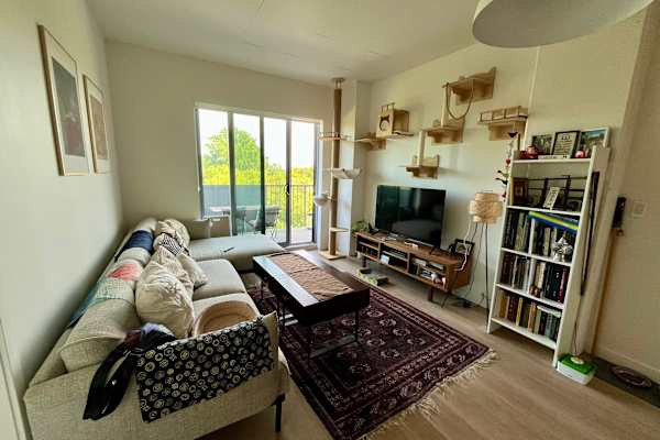 House sit in Montréal, QC, Canada