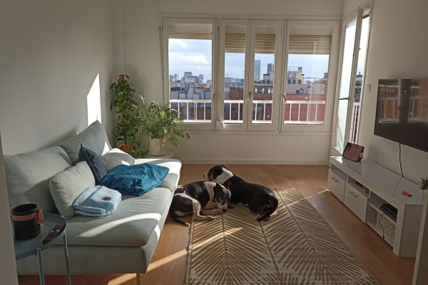 House sit in Barcelona, Spain