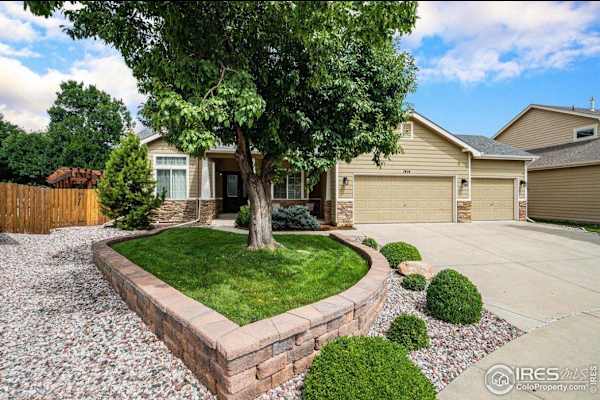 House sit in Fort Collins, CO, US