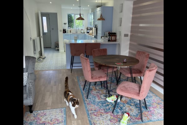 House sit in Charlton, United Kingdom