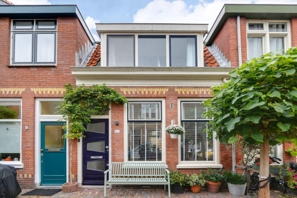 House sit in Haarlem, Netherlands