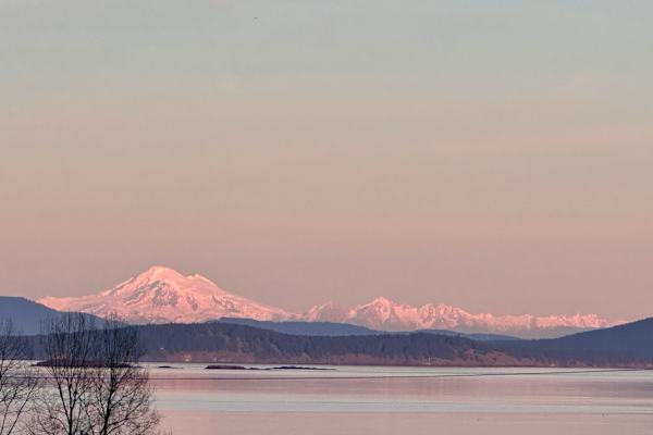 House sit in Victoria, BC, Canada