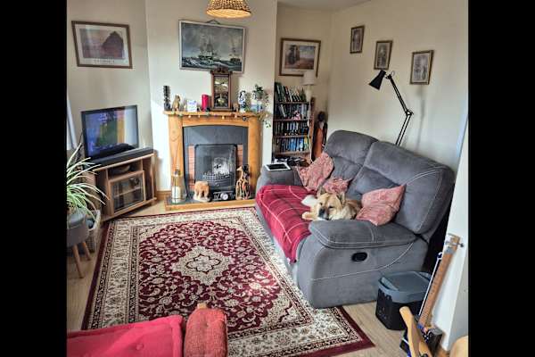 House sit in Dursley, United Kingdom