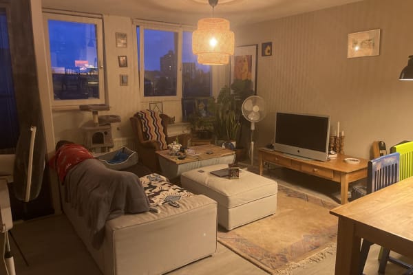 House sit in Sittard, Netherlands