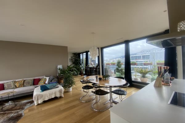 House sit in Zürich, Switzerland