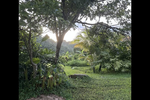 House sit in Maricao, Puerto Rico