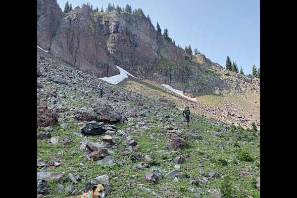 House sit in Bozeman, MT, US