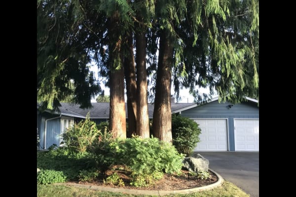 House sit in Mount Vernon, WA, US