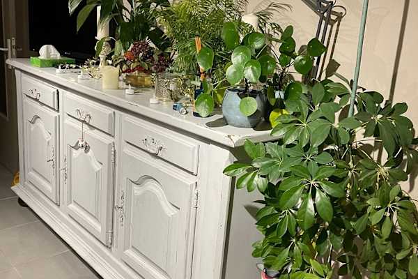 House sit in Villiers-Fossard, France