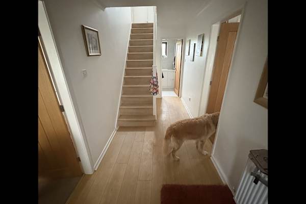 House sit in Lancaster, United Kingdom