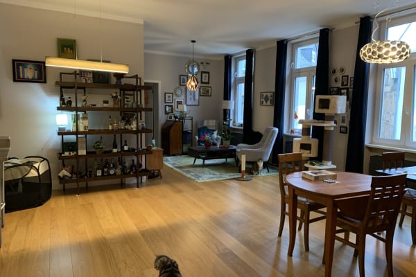 House sit in Wiesbaden, Germany