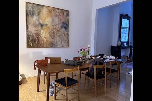 House sit in Brussels, Belgium