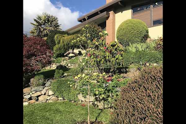 House sit in Victoria, BC, Canada