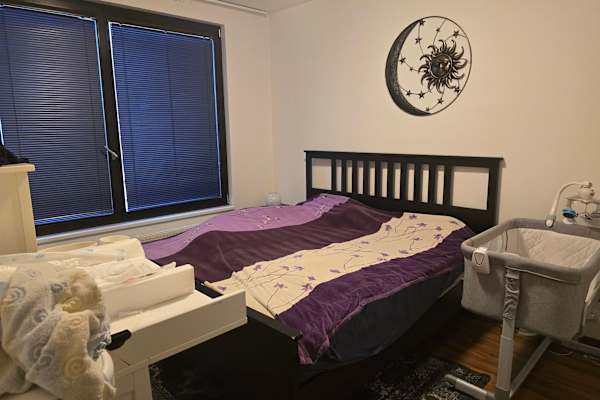 House sit in Prague, Czech Republic