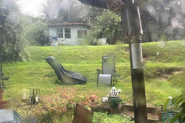 House sit in Basingstoke, United Kingdom