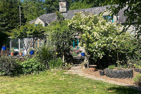 House sit in Dolgellau, United Kingdom