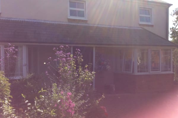 House sit in Colchester, United Kingdom