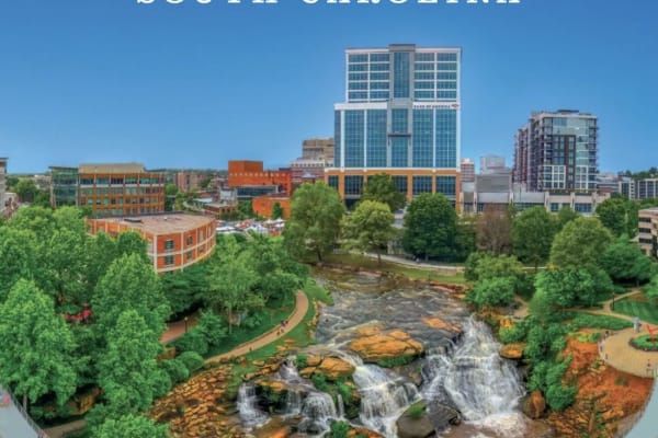 House sit in Greenville, SC, US