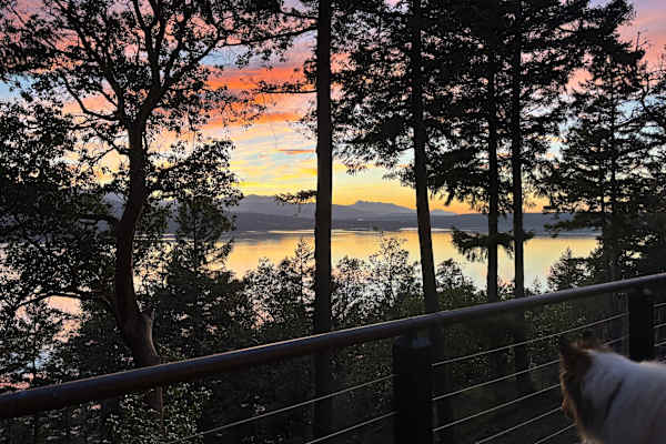 House sit in Port Townsend, WA, US