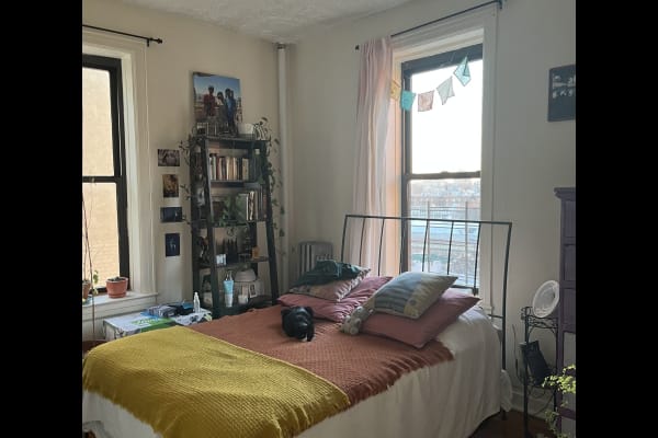 House sit in Brooklyn, NY, US