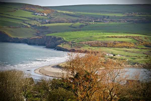 House sit in Cardigan, United Kingdom