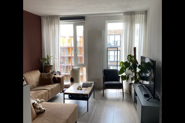 House sit in Amsterdam, Netherlands