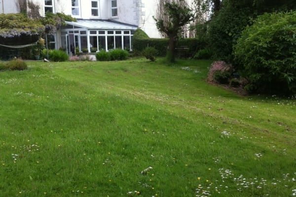 House sit in Downpatrick, United Kingdom