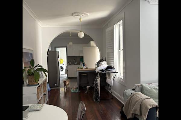 House sit in Sydney, NSW, Australia