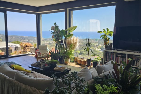 House sit in Barcelona, Spain