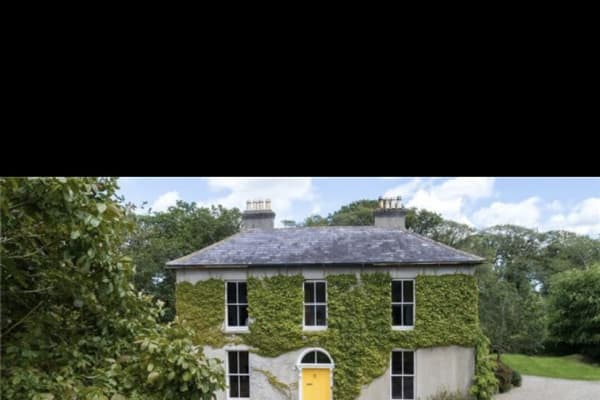 House sit in Enniscorthy, Ireland
