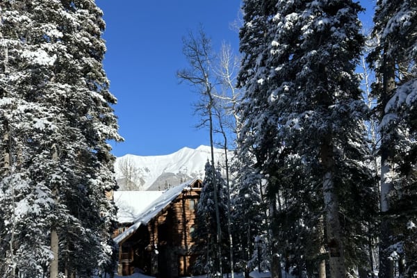House sit in Telluride, CO, US