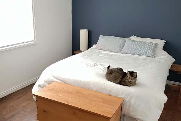 House sit in Victoria, BC, Canada