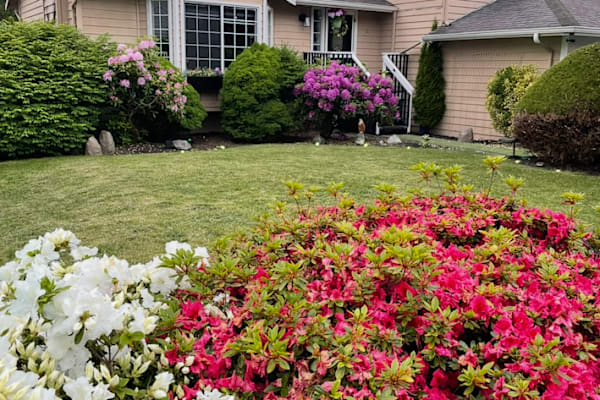 House sit in Lynnwood, WA, US