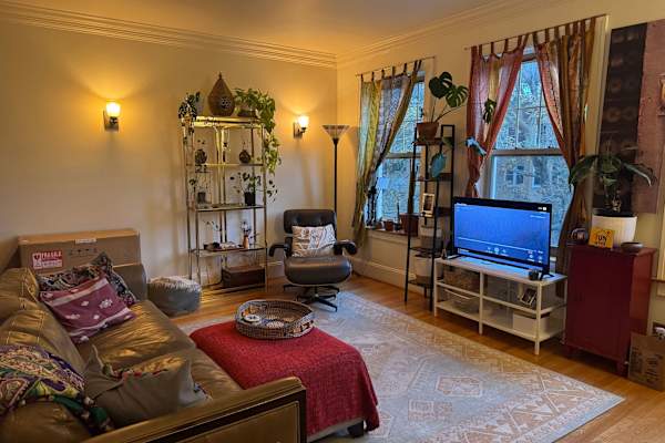 House sit in Chicago, IL, US